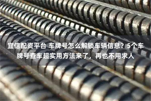 宜信配资平台 车牌号怎么解锁车辆信息？5个车牌号查车超实用方法来了，再也不用求人