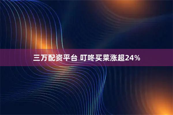 三万配资平台 叮咚买菜涨超24%